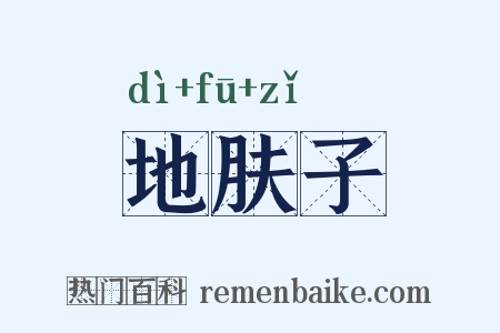 地肤子是什么意思的图片